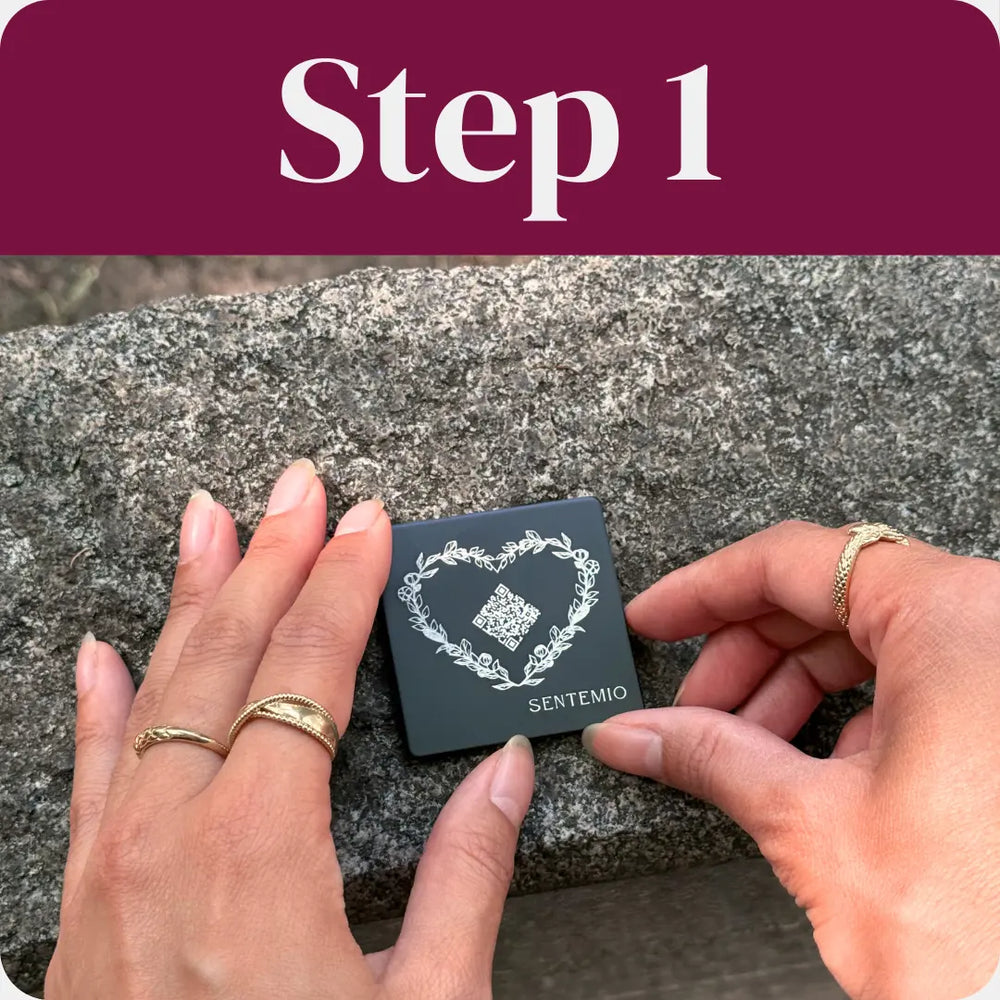 Translation missing: en.custom.slide1.alt