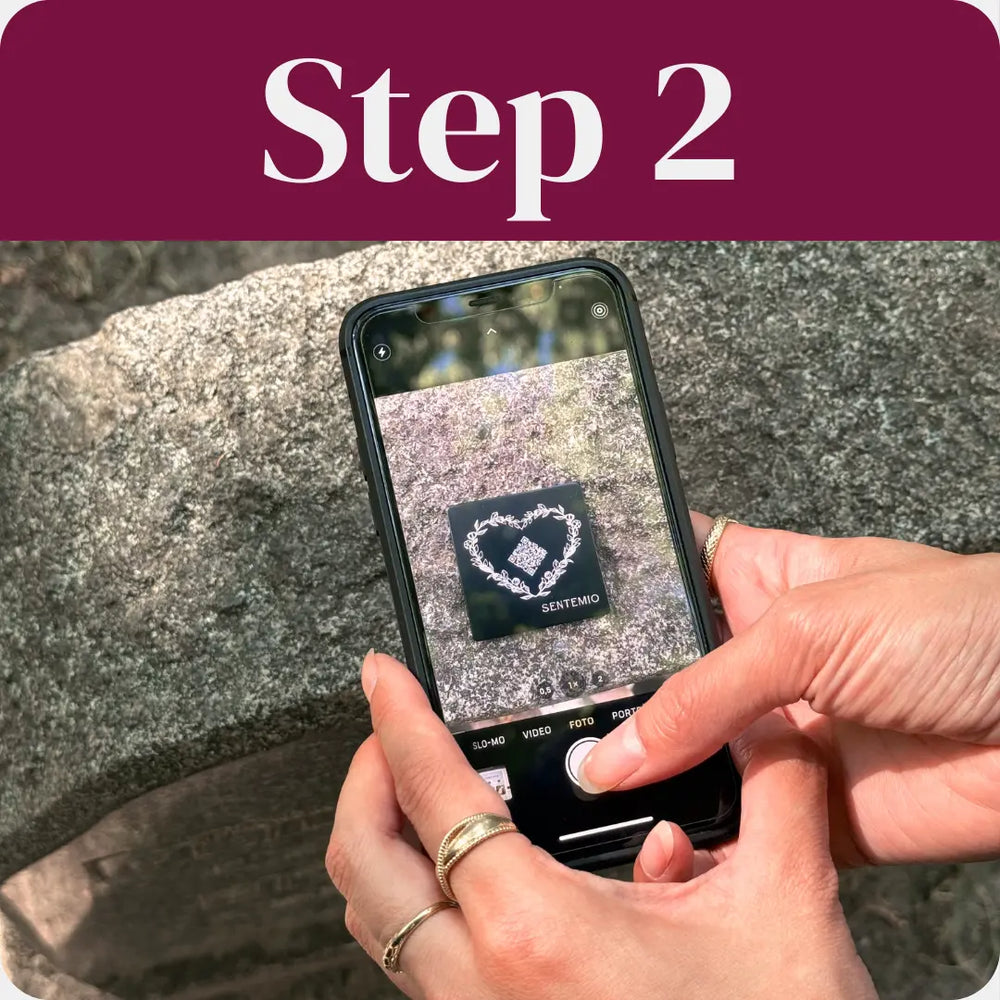 Translation missing: en.custom.slide2.alt